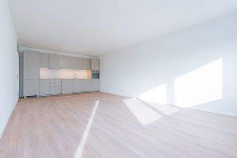 Hamburg Wohnungen, Hamburg Wohnung mieten