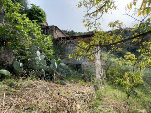 Dolceacqua Grundstücke, Dolceacqua Grundstück kaufen