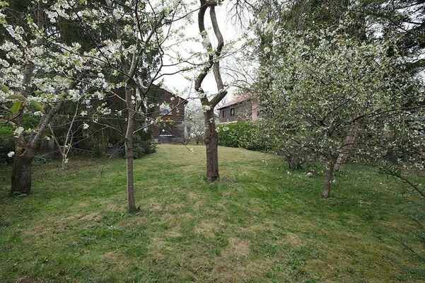 Garten mit Obstbäumen
