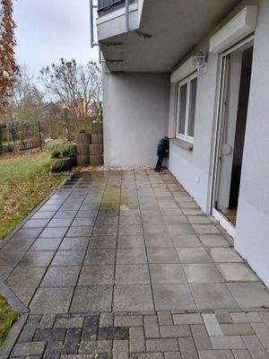 WhatsApp Image 2026-02-12 at 10.38.58 (3)