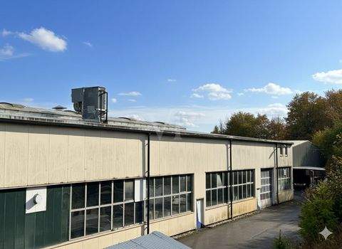 Idar-Oberstein / Georg-Weierbach Halle, Idar-Oberstein / Georg-Weierbach Hallenfläche