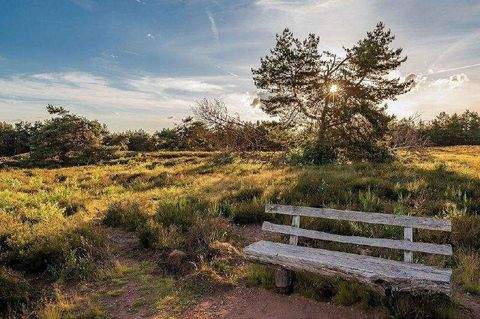Radeberg Wohnungen, Radeberg Wohnung kaufen