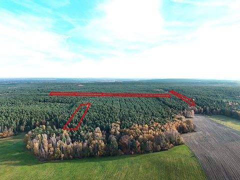 Neukirch Grundstücke, Neukirch Grundstück kaufen