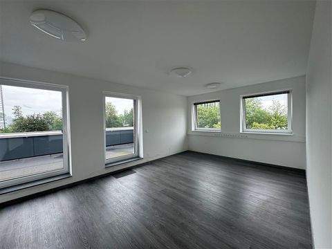 Lüneburg Büros, Büroräume, Büroflächen 