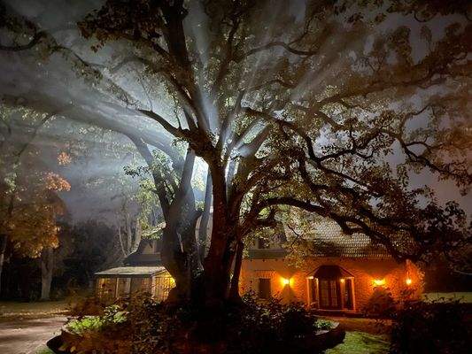 La Porfía – Mehr als ein Ort. Eine Lebensart