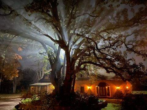 Zelaya Häuser, Zelaya Haus kaufen