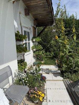 regengeschützt sitzen + Erdbee