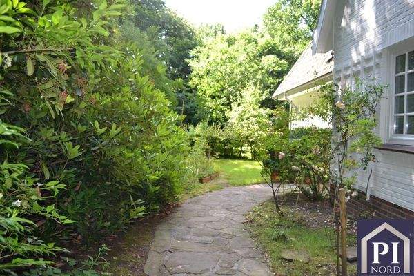 Gepflasteter Weg zum Hauseingang