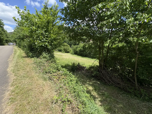 f88d298b-c15e-40ef-b3a9-baffaf3b492f-1907228908