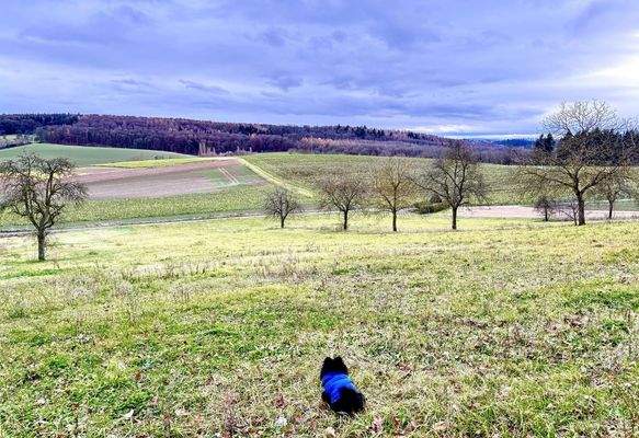 Blick direkt vor dem Haus