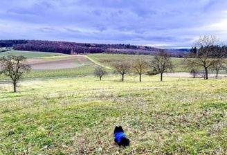 Blick direkt vor dem Haus