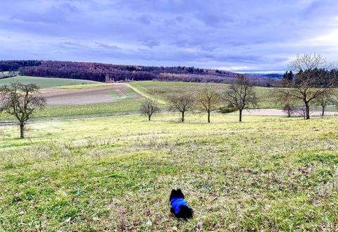 Kraichtal Landshausen Wohnungen, Kraichtal Landshausen Wohnung mieten