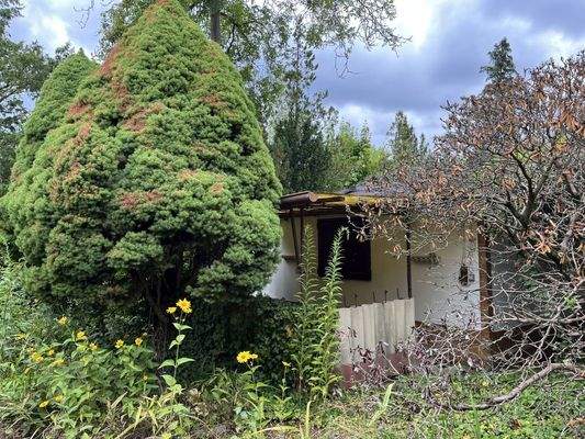 Bungalow Vorderansicht