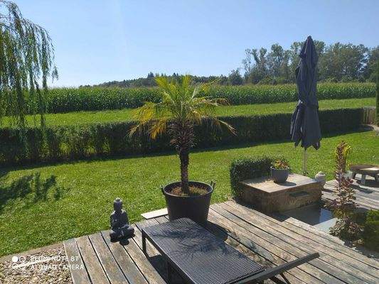 Blick im Sommer in die Natur