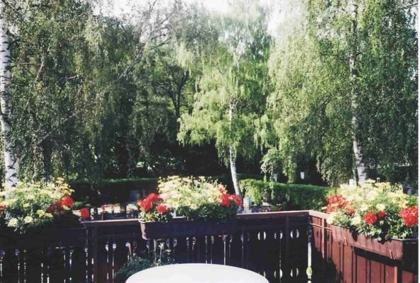 OG Dachterrasse
