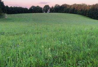 Eine von vielen Ökopunkten-Flächen