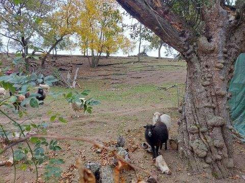Oberkreuzstetten Grundstücke, Oberkreuzstetten Grundstück kaufen