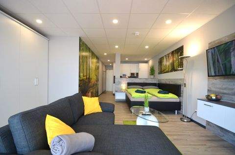 Marktheidenfeld Wohnungen, Marktheidenfeld Wohnung mieten