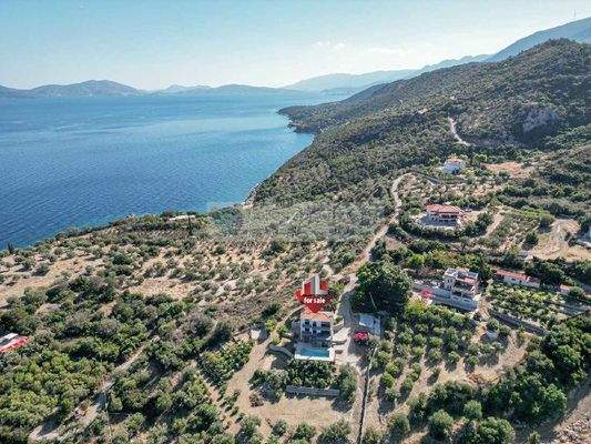 ce2e5a297a8c43cfbf4930d1c5053f53-original