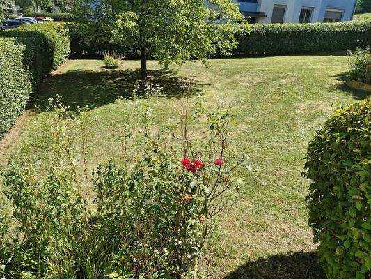 allgemeine Grünfläche