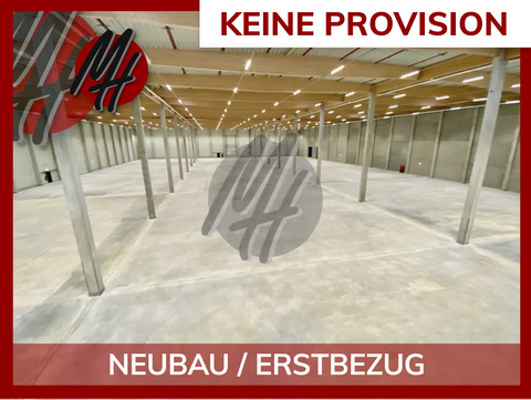 Bernau Halle, Bernau Hallenfläche