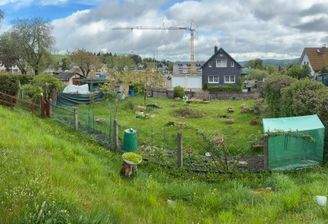 Garten.jpeg