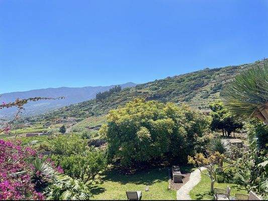 WhatsApp Image 2025-05-01 at 12.22.06.jpeg