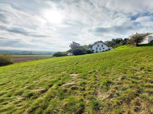 Blick Richtung Westen Freiwinklstr 9_bearbeitet.jpg