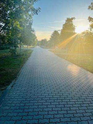 PHOTO-2023-11-15-20-41-23 (1)