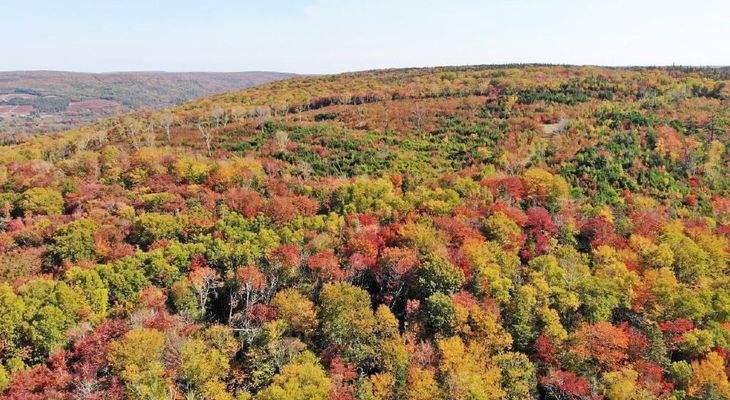 Nova Scotia - West Side Country Harbour - 52-Hekta