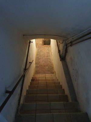 Blick in den Keller.jpg