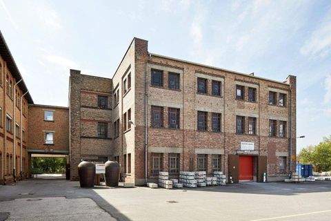 Mannheim Halle, Mannheim Hallenfläche