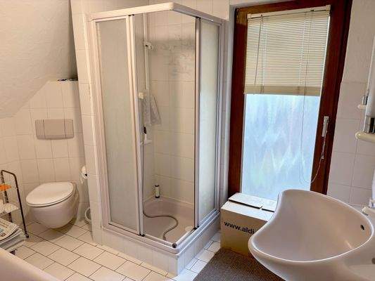 Tageslichtbad im DG ...