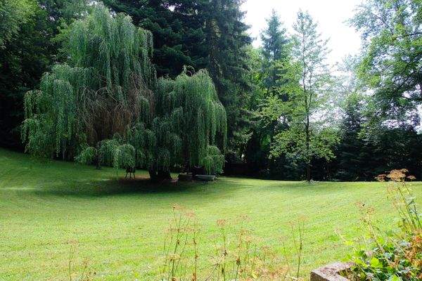 Gartenfläche mit Baumbestand