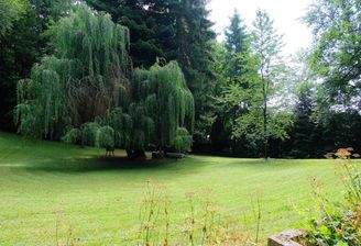 Gartenfläche mit Baumbestand