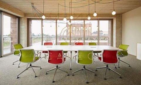 Mannheim Büros, Büroräume, Büroflächen 