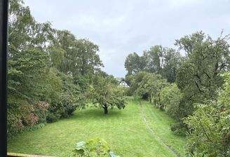 Blick nach hinten raus