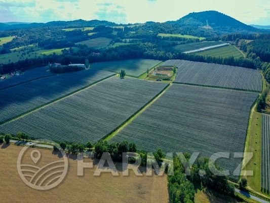 Farma-10.jpg
