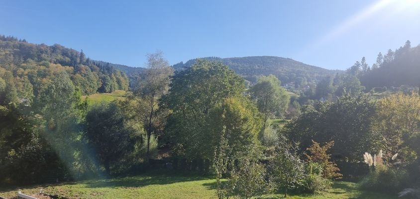 Ausblick vom Balkon