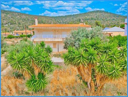 8e240f5b01924b7ea23b8c678cc532fc-original