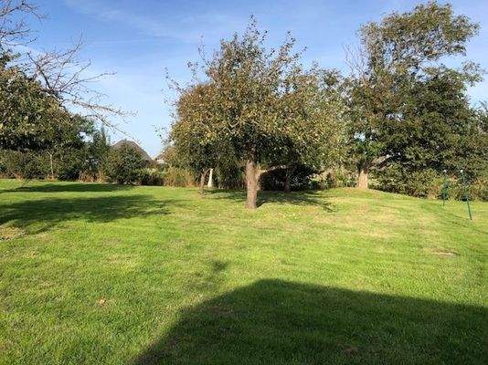 Blick von der Terrasse auf die Obstwiese