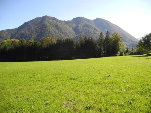 Scharnstein Bauernhöfe, Landwirtschaft, Scharnstein Forstwirtschaft