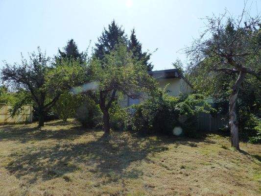 Blick zum Gartenhaus 