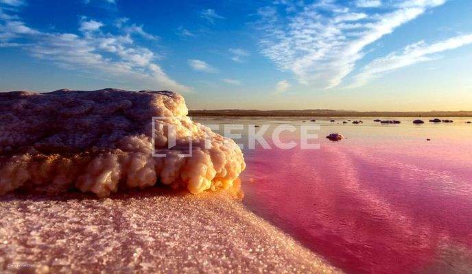 Apartments Close to the Beach and Amenities in Torrevieja