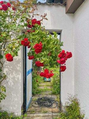 Durchgang zum Garten