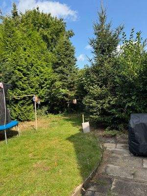 Blick in den Gemeinschaftsgarten