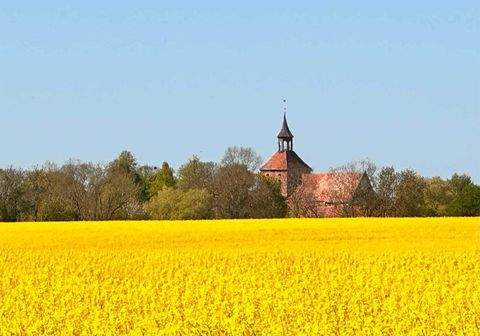 Neukalen Bauernhöfe, Landwirtschaft, Neukalen Forstwirtschaft
