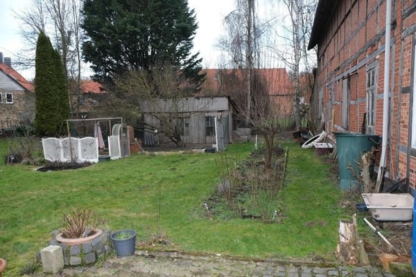 Blick in den Garten
