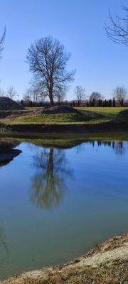 344295638_1666199713822289_9133751854713367835_n.j