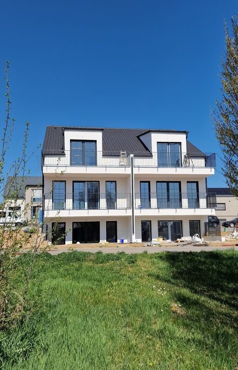 Bad Rappenau / Babstadt Häuser, Bad Rappenau / Babstadt Haus kaufen
